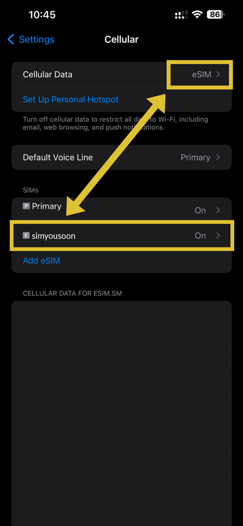 Cellular Data is set to eSIM