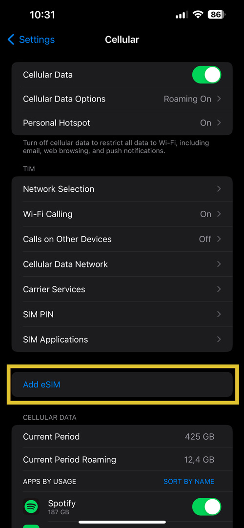 iPhone eSIM setup guide