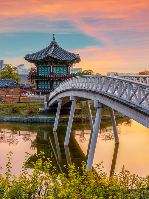 esim::categories.plan-selection.image_alt