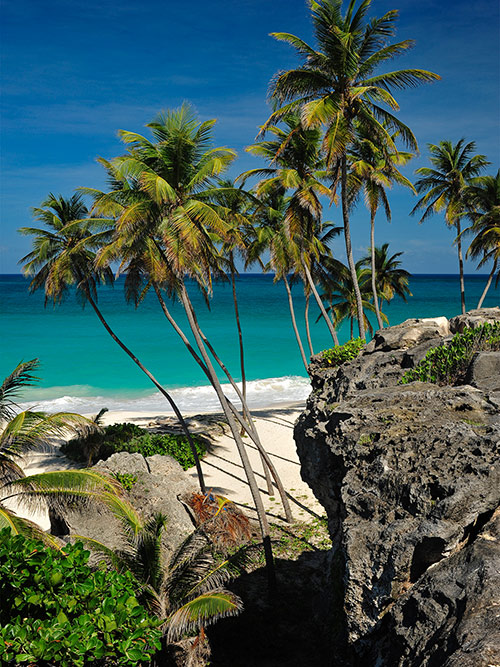 esim::categories.plan-selection.image_alt