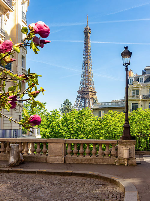 esim::categories.plan-selection.image_alt