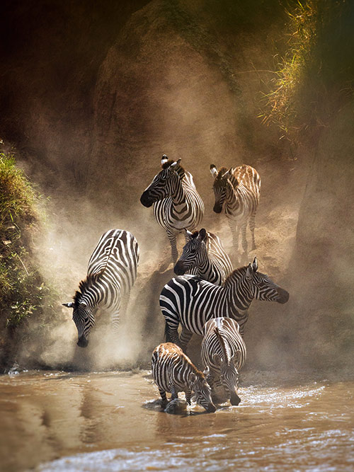 esim::categories.plan-selection.image_alt