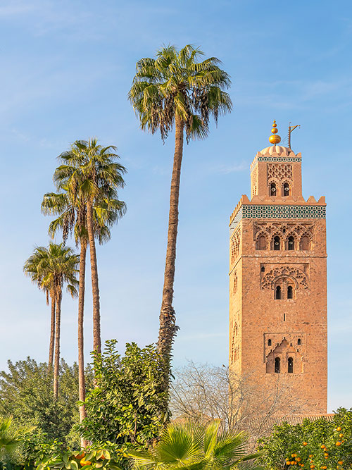 esim::categories.plan-selection.image_alt