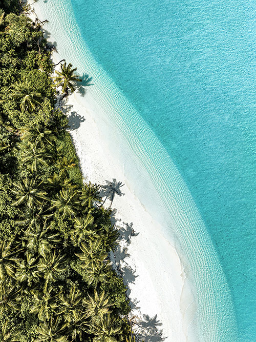 esim::categories.plan-selection.image_alt