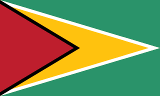 flag Guyana